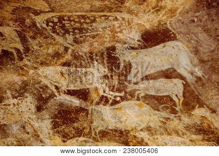 Details Of Painting By Primitive People At Bhimbetka Caves Near Bhopal, Madhya Pradesh, India, Asia