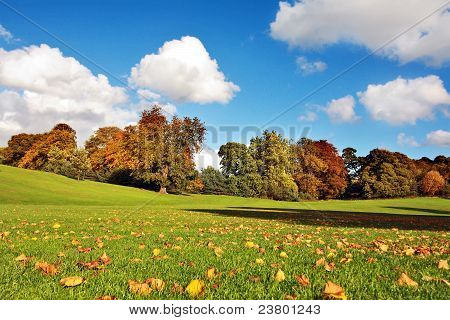 Bella autunno nel parco di Falkirk, in Scozia