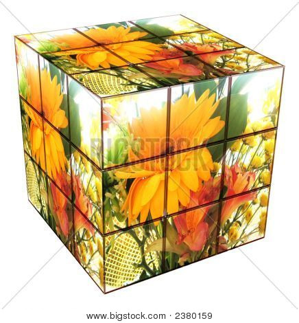 Cube ดอกไม้