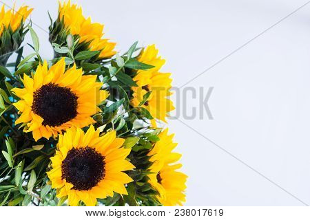 Bouquet Of Bright Sunflowers On A White Background.