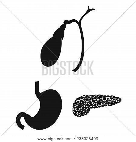 Human Organs Black Icons In Set Collection For Design. Anatomy And Internal Organs Vector Symbol Sto