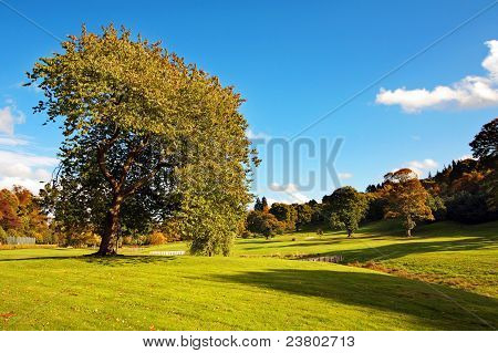 Bella autunno nel parco di Falkirk, in Scozia