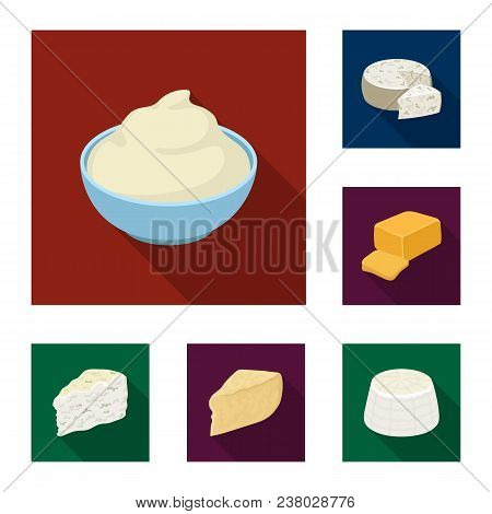 Different Kind Of Cheese Flat Icons In Set Collection For Design.milk Product Cheese Vector Symbol S