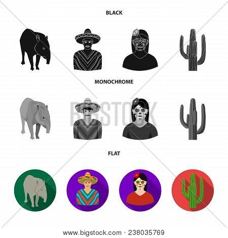 Tapir Mexican Animal, A Mexican In National Clothes In A Poncho, A Woman With A Flower, A Cactus. Me