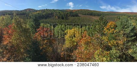 A Panorama View Of Algonquin In Autumn