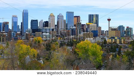 The Calgary, Canada City Center With Colorful Autumn Leaves