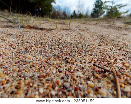 Most Amazing Texture A Wet Sandy Surface
