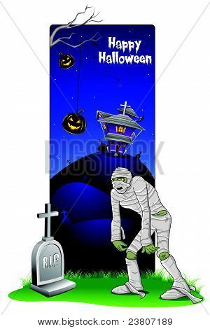 จากศพมัมมี่