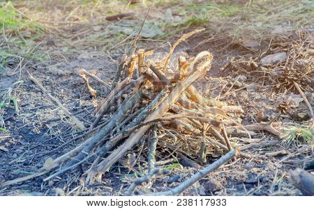 Picnic Tourism Bonfire Concept. Unity With Nature. Hiking Spirit.