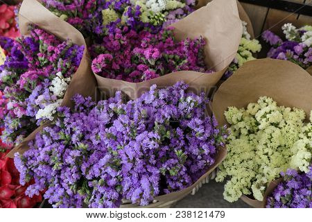 Variety Of Limonium Sinuatum Or Statice Salem Flowers In Blue, Lilac, Violet, Pink, White Colors Bou