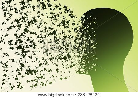 The Human Face Is Painted To Pieces, The Ilustration Of The Head, The Explosion Of Emotions, The Enr