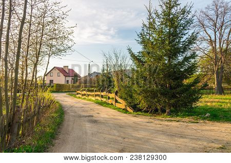 Curving Road Between Fields And Trees, Bad Road
