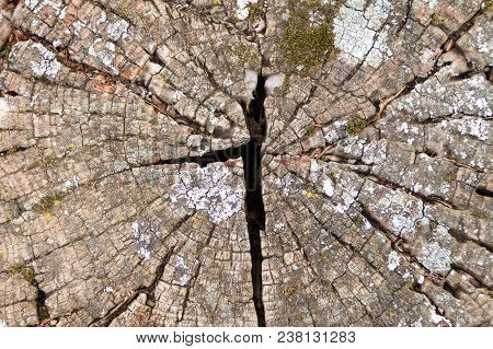 Cracked Stone Wall Background