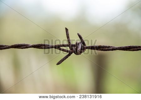 Barbed Wire. Barbed Wire On Fence With Blue Sky To Feel Worrying.