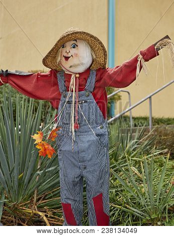 Halloween Scarecrows And Characters