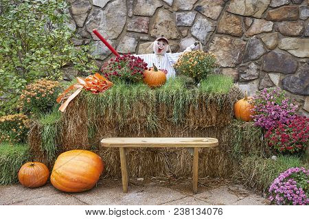 Halloween Scarecrows And Characters