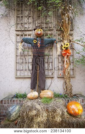 Halloween Scarecrows And Characters