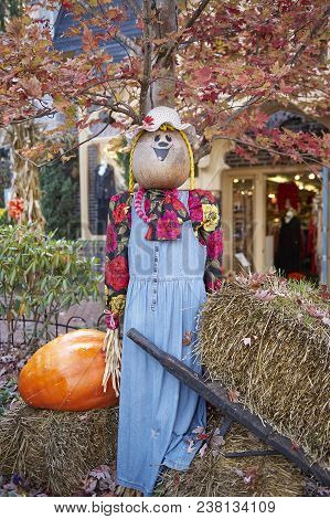 Halloween Scarecrows And Characters
