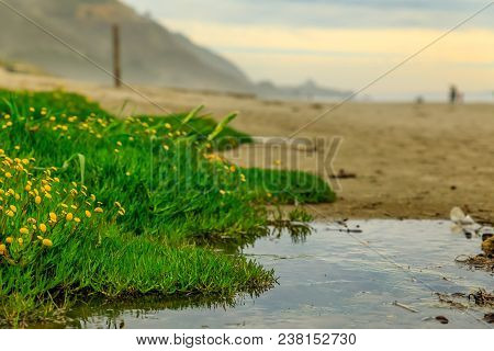 Puddles On The Beach On A Foggy Afternoon In Stinson Beach California