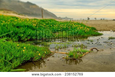 Puddles On The Beach On A Foggy Afternoon In Stinson Beach California