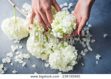 Floral Concept For Card