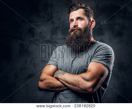 Brutal Bearded Male With Tattoos On Arms Over Grey Background.