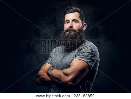 Brutal Bearded Male With Tattoos On Arms Over Grey Background.