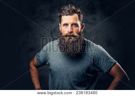 Brutal Bearded Male With Tattooed Arms Over Dark Grey Background.