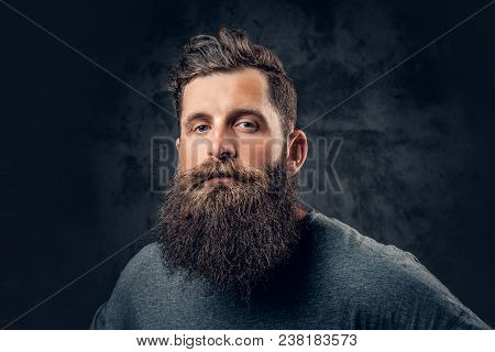 Brutal Bearded Male With Tattooed Arms Over Dark Grey Background.