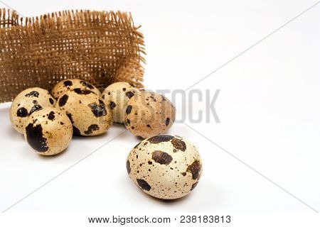 Quail Eggs On Rustic Burlap Background. Spring Background With Small Easter Quail Eggs
