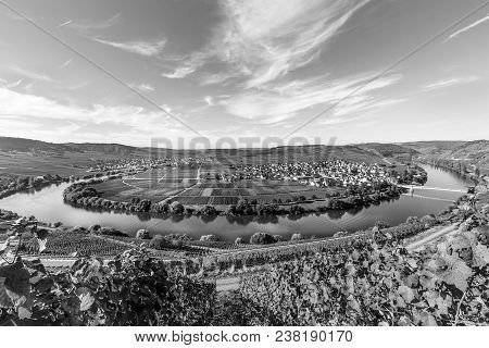 Famous Moselle River Loop In Trittenheim, Germany.
