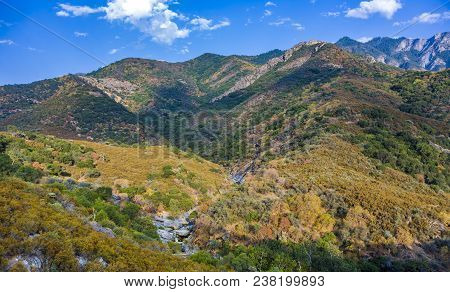 Scenic Landscape In Sequoia National Park With River Kaweah