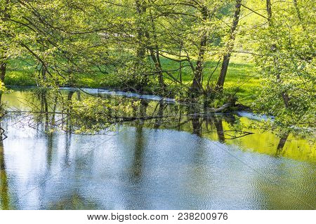 Small Creek Hafenlohr Flows Through The Dense Wild Forest In Bavaria, Germany