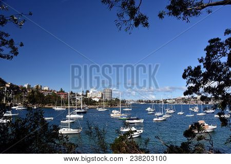 Manly Buildings Skyline From Wellings Reserve. Many Yachts In North Harbour At Fourty Baskets Beach.