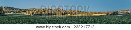 Beautiful Panoramic Landscape With Fields And Vineyards Near Rognes, Provence, France