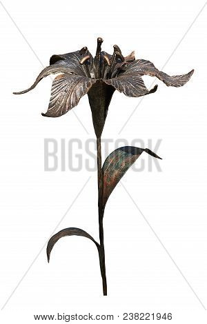 Lily Handmade Forged From Metal. Isolated On A White Background
