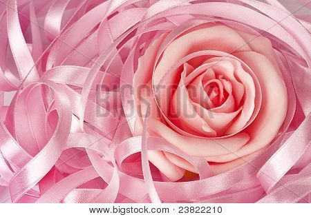 Ruban et Rose Rose