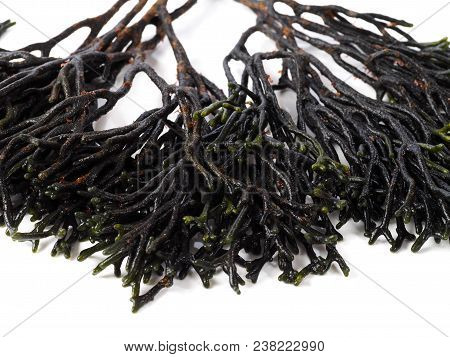 Codium - Velvet Horn - Spongeweed.

Edible Green Seaweed In The Family Codiaceae. Binomial Name: Cod