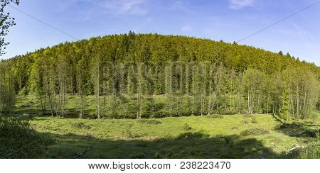 Small Creek Hafenlohr Flows Through The Dense Wild Forest In Bavaria, Germany