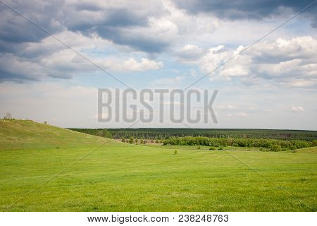 Green Grass Field On Small Hills And Blue Sky With Clouds. Sunner Landscape.