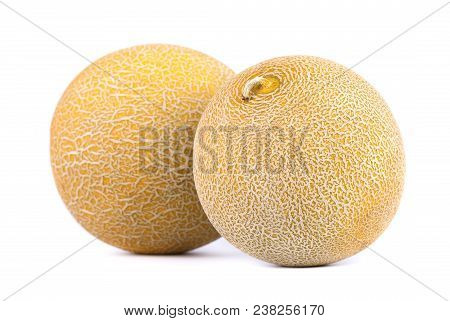 Cantaloupe Melon Isolated On White Background. Juicy And Sweet Cantaloupe Melon Isolated On White Ba