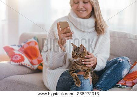 Cosy Home Atmosphere. Family Pet. Girl Petting Her Bengal Cat While Looking At Her Phone.
