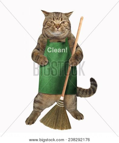 The Cat In An Apron Holds A Sweeping Broom. White Background.