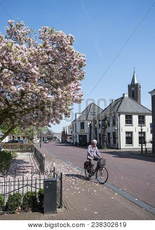 Loenen, Netherlands, 18 April 2018: Man On Bicycle Passes Flowering Spring Tree In Dutch Village Of 