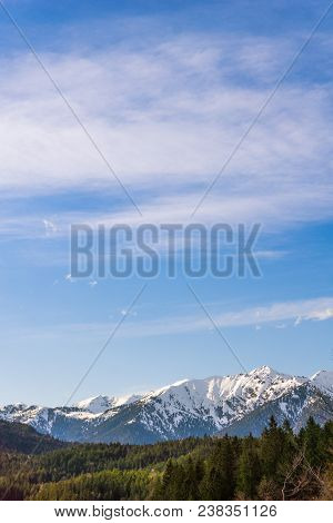 View to the Great snowcapped Mountains of the Bavarian Alps in Germany.
Close-up of a beautiful green Forest in front of the white Mountains of the bavarian Alps on a sunny Day.
Mountain ans Nature Backgrounds.