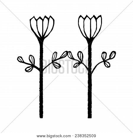 Handdrawn Latin Alphabet. The Letter H - Floral Element Of Alphabet Made From Hand Drawn Flowers  Fo