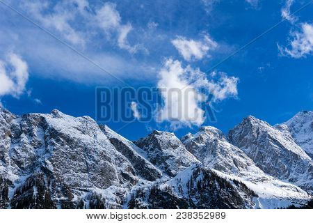 View to the Great snowcapped Mountains of the Bavarian Alps in Germany.Close-up of the beautiful white Mountains and green Trees of the bavarian Alps on a sunny Day.Mountain ans Nature Backgrounds.