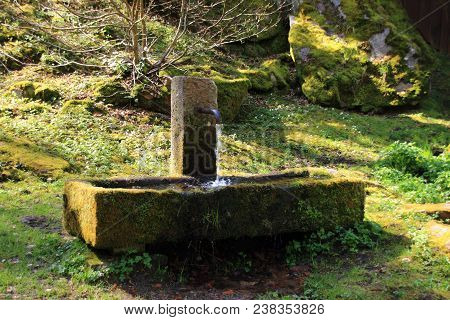 Old Stone Fountain In The Spa Park Of Bad Wildbad