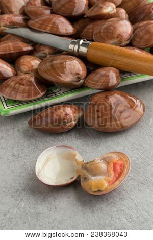 Fresh raw closed smooth clams or Callista Chione and one opened in front