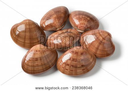 Heap of fresh raw closed smooth clams on white background